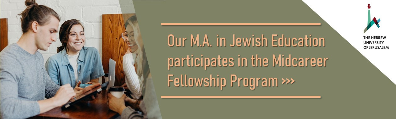 Midcareer fellowship